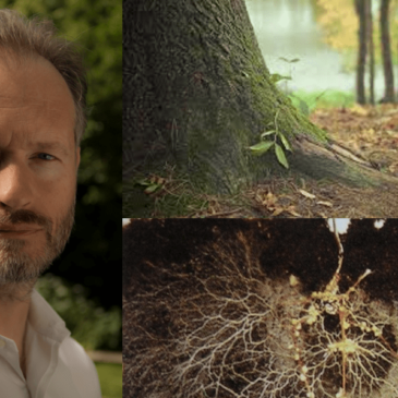 Formation “La Mycorhization, une symbiose au service des cultures: la comprendre pour la favoriser” avec Marc-André Sélosse les 13 et 14 février